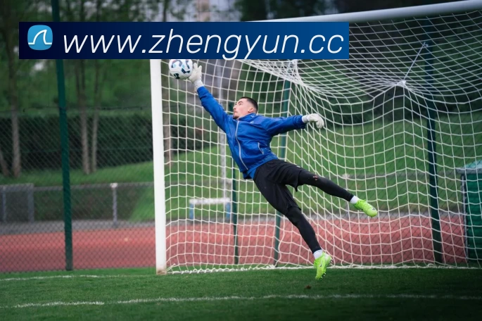 App Interface Preview