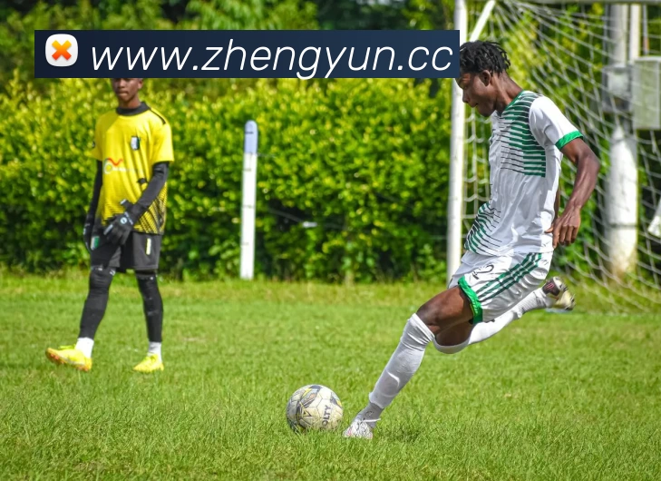 数据防护可视化